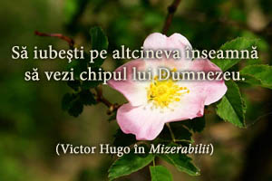 Maxima zilei